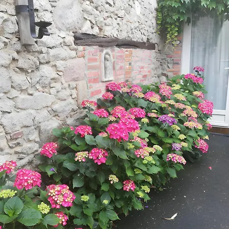 Bed & Breakfast La Fleur De Lys